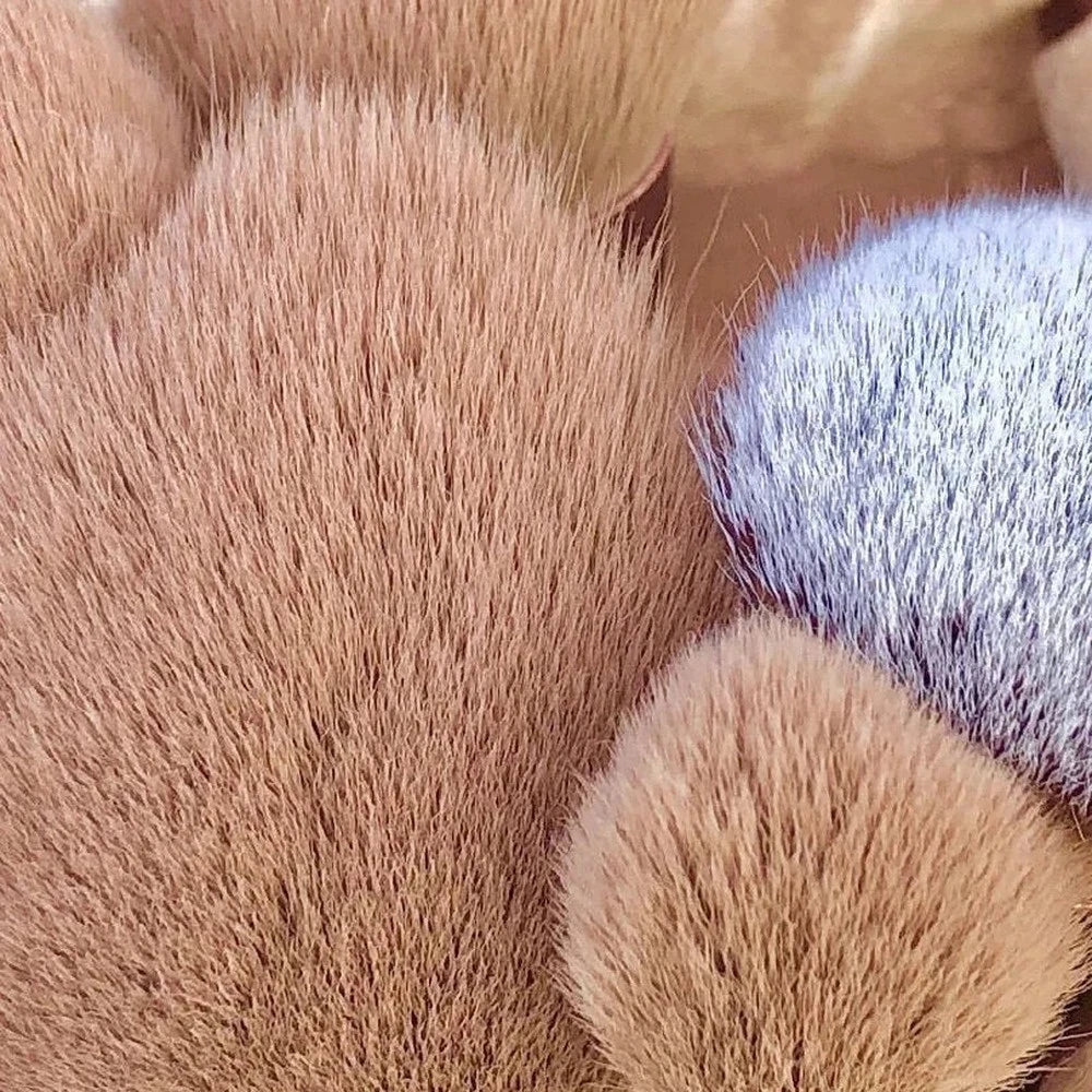 LuxeBlend 13-Piece Makeup Brush Set